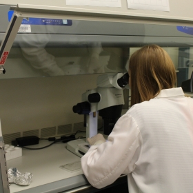 Associate Laboratory Director Cassidy Arnold. Credit: Katharine McLean