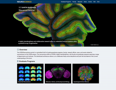 UCSB Launches New Neuroscience Website Portal