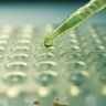 Identifying the Novel Coronavirus